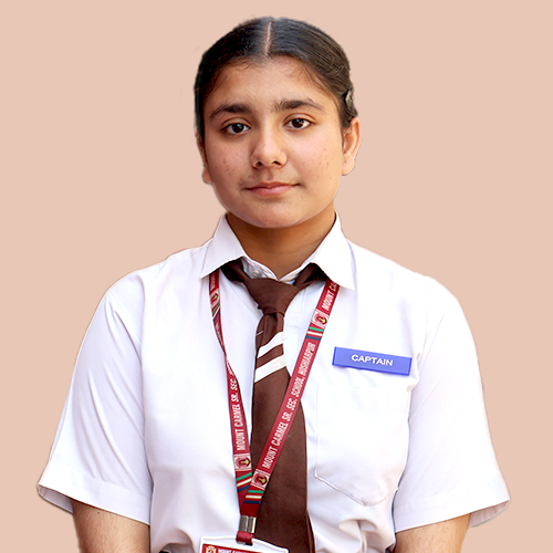 Blue House Captain